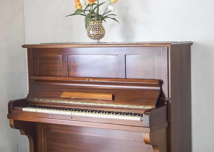 Venus ホテル リミニ