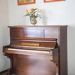 Venus Hotel Rimini