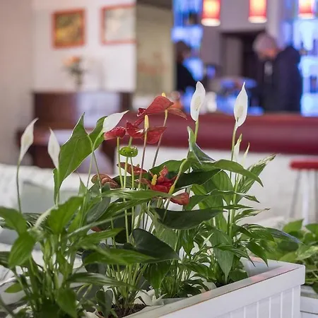 Venus 3* 벨레지아아지마리나